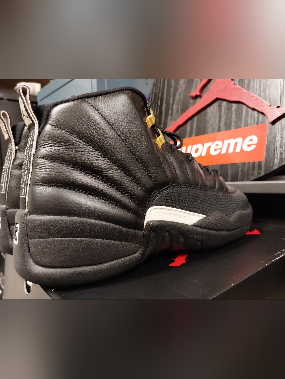 Retro Jordan 12 The Master Size 10